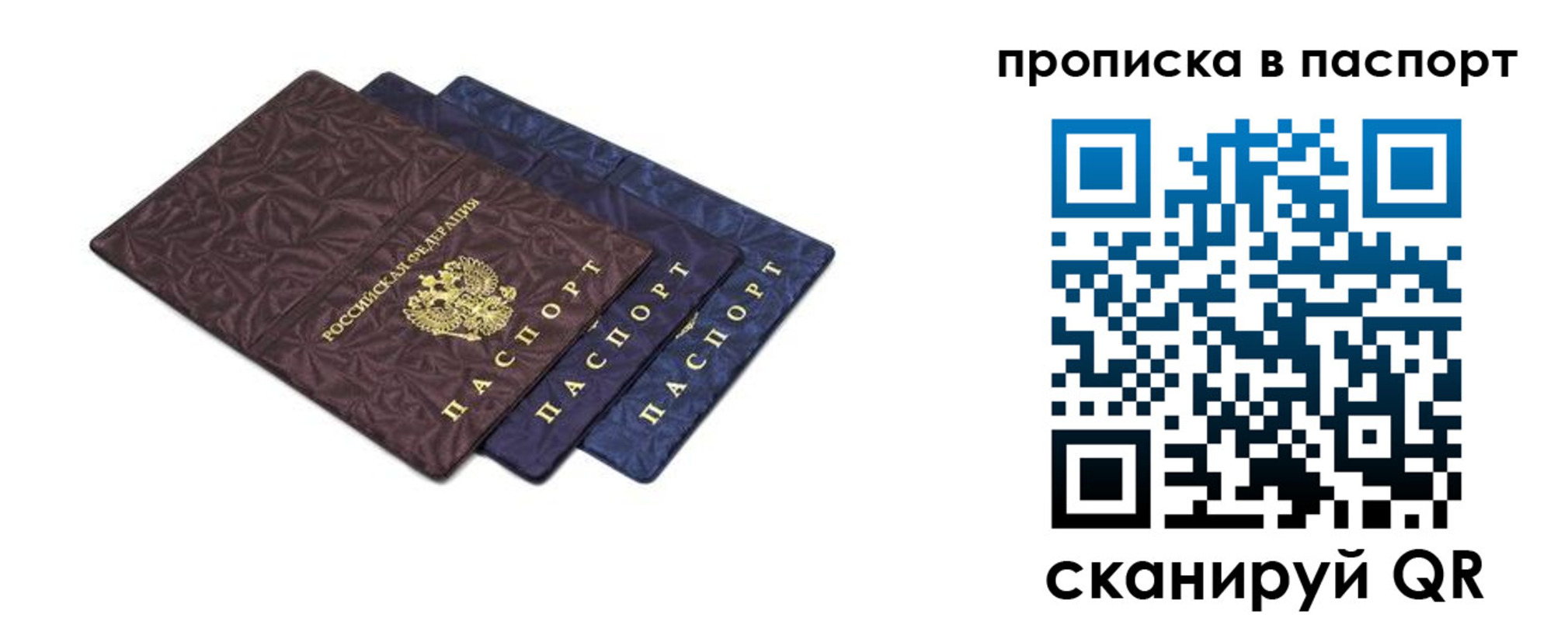 временная прописка в Светлограде